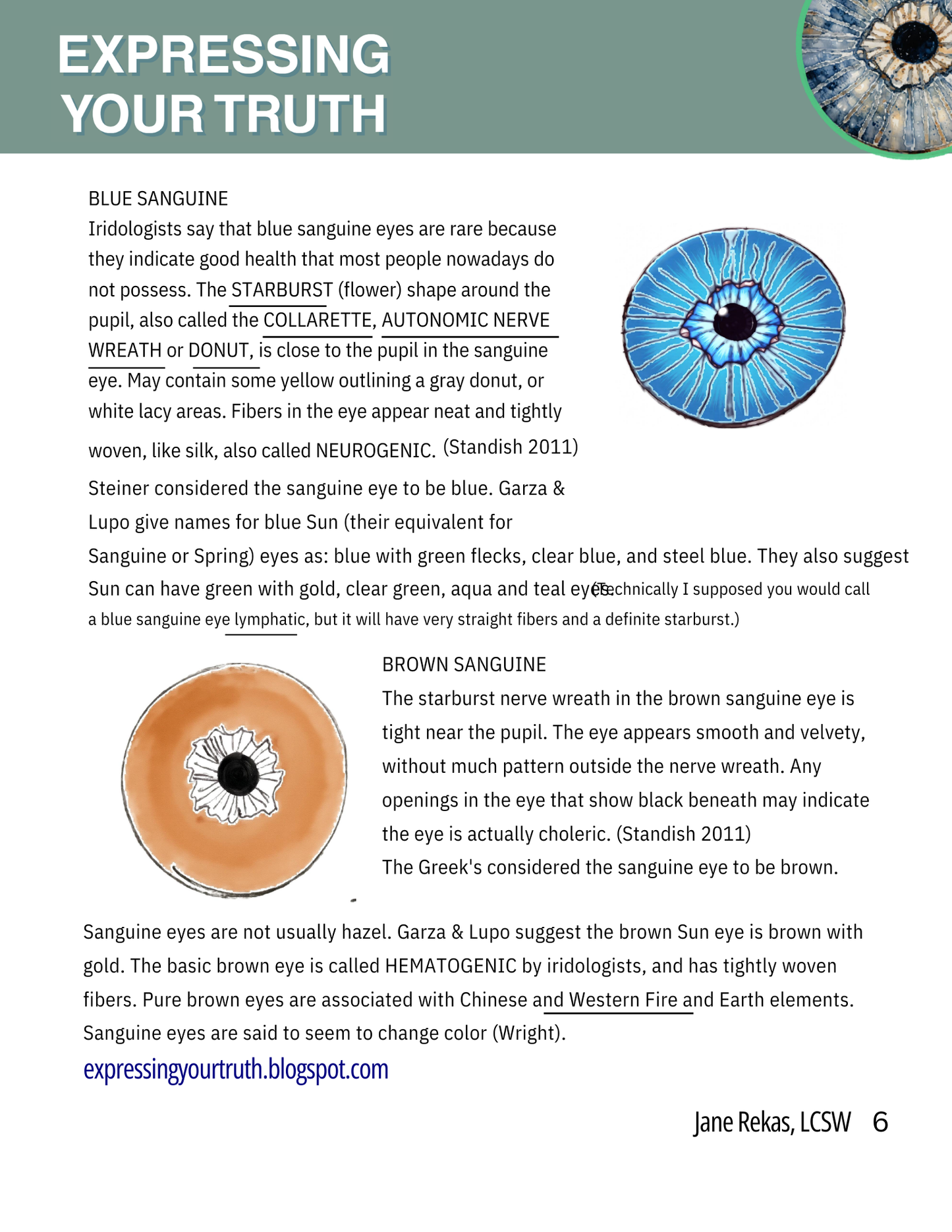 Expressing Your Truth Eye Book