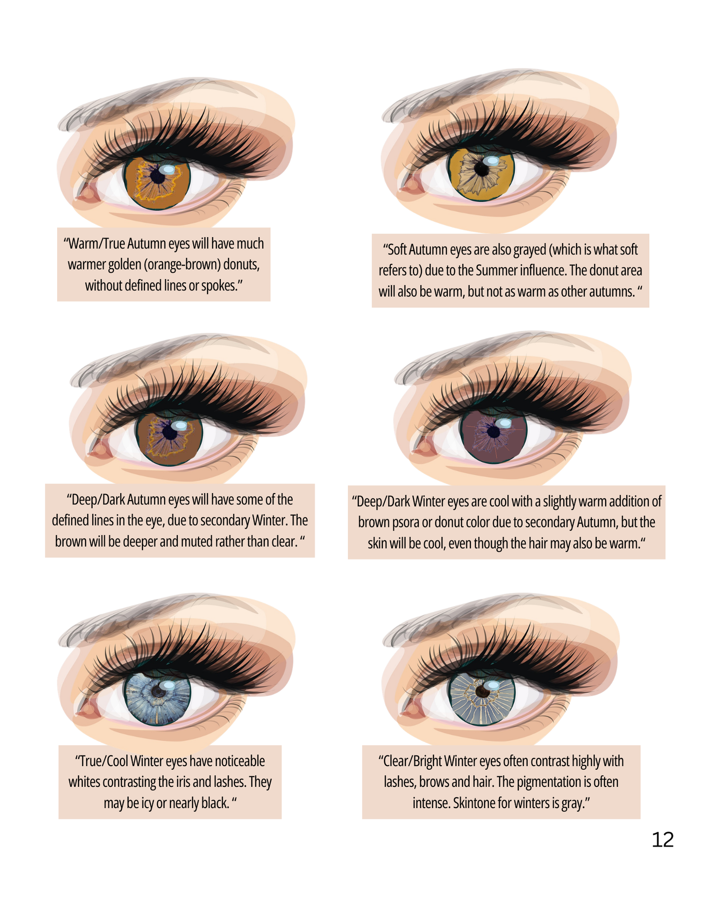 Expressing Your Truth Eye Book